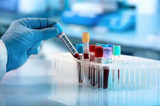 Food Safety Solutions