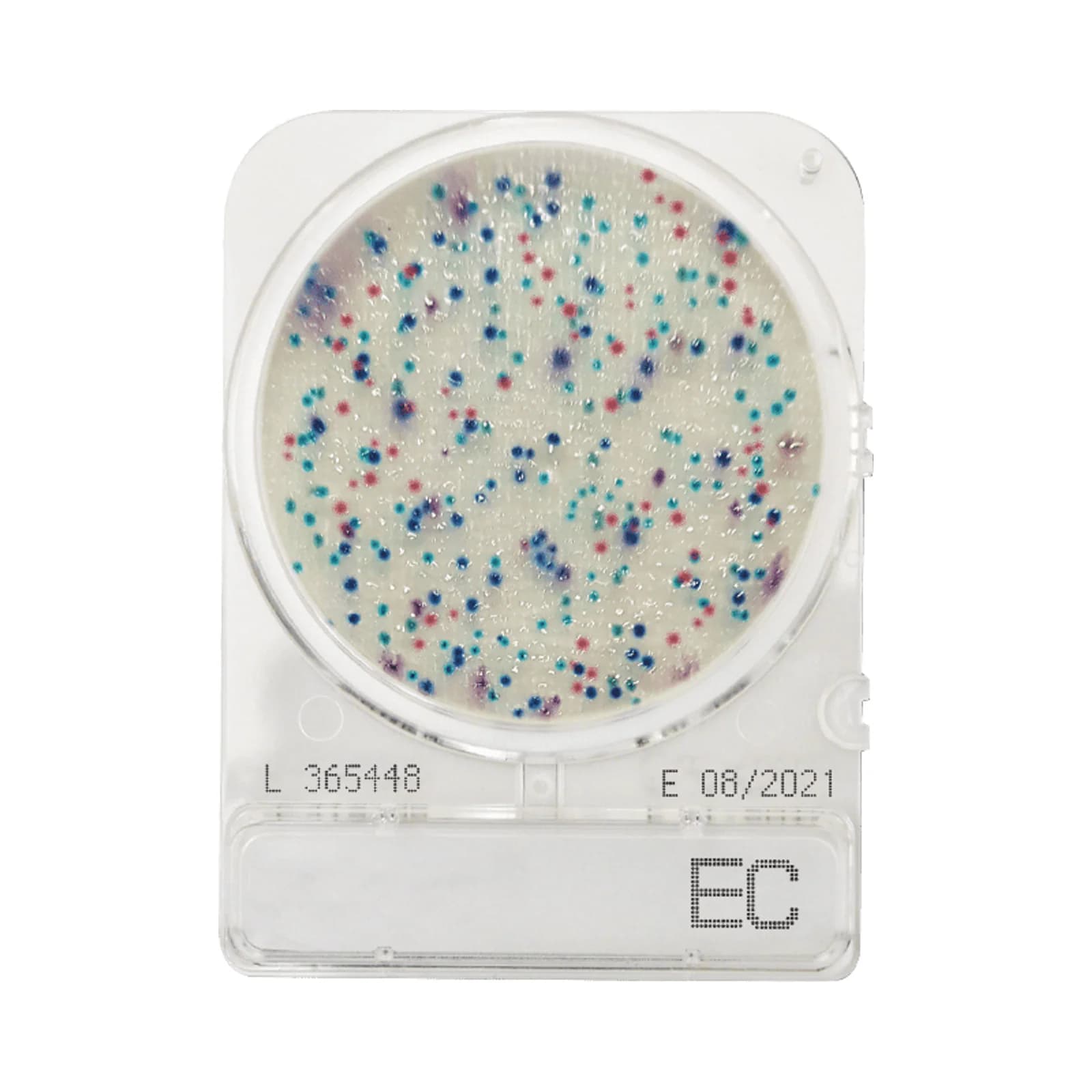 Compact Dry (EC) Ecoli/coliform Bacterial count