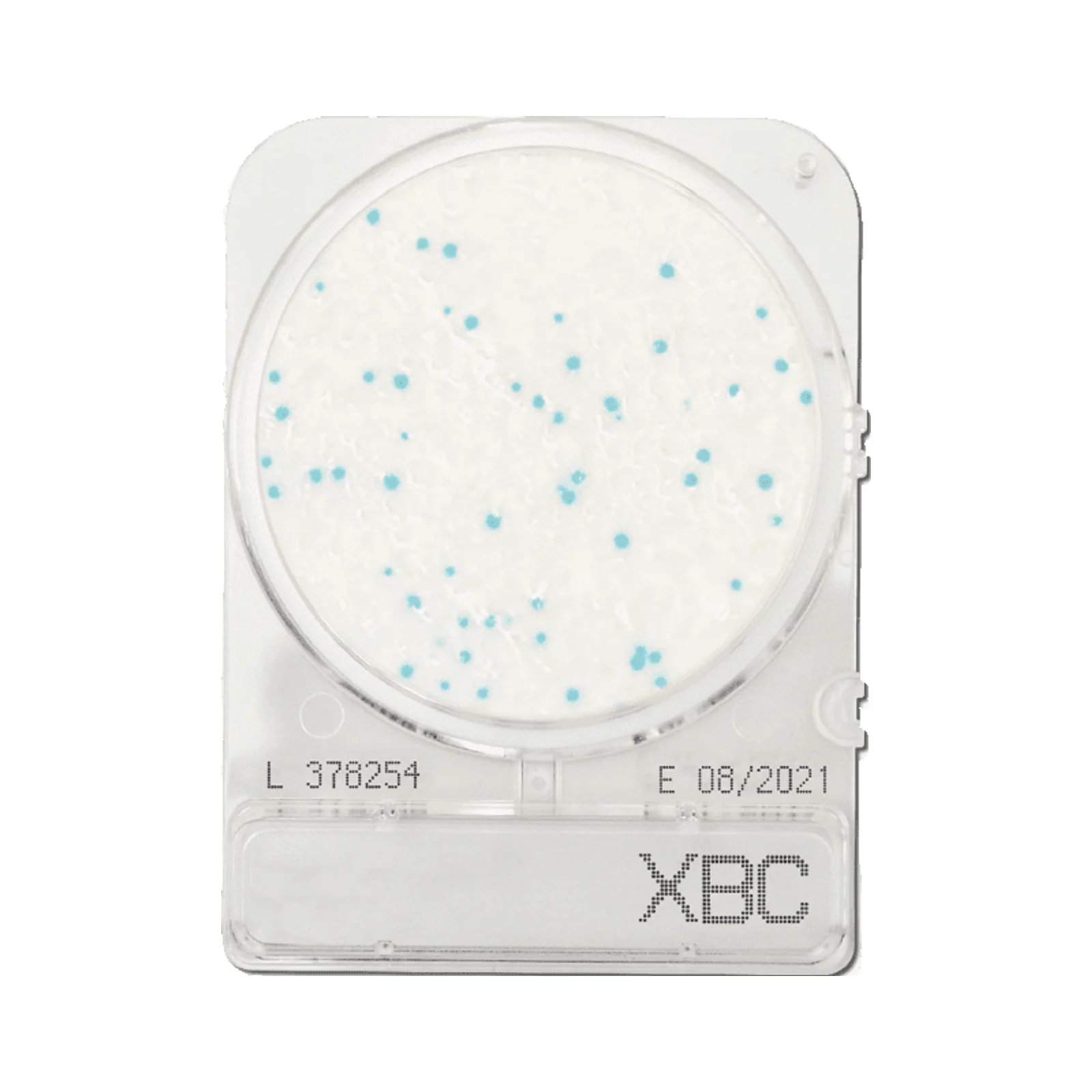 Compact Dry BC